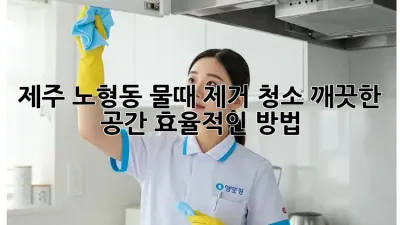 제주 노형동 물때 제거 청소: 깨끗한 공간, 효율적인 방법